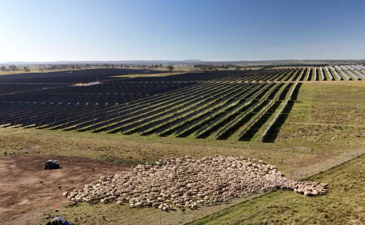 Solar farm and big battery approved after increasing setbacks, protecting sheep grazing