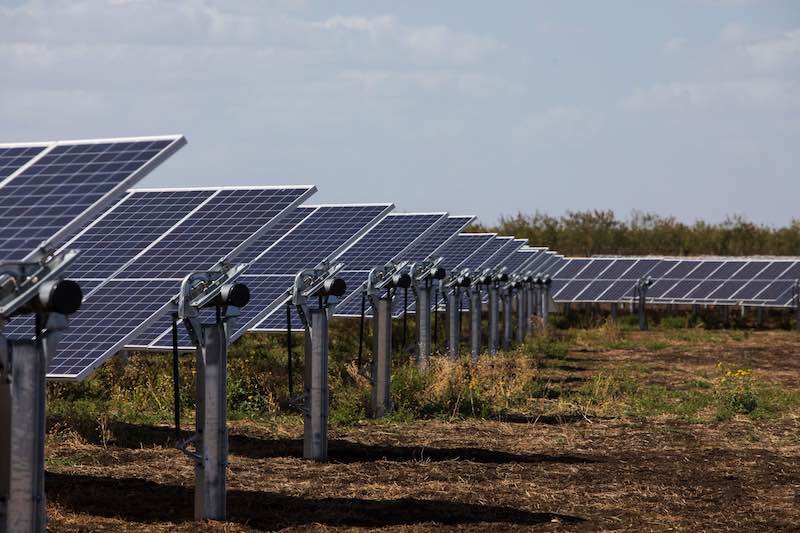 Winemaker installs largest solar farm by an Australian beverage producer