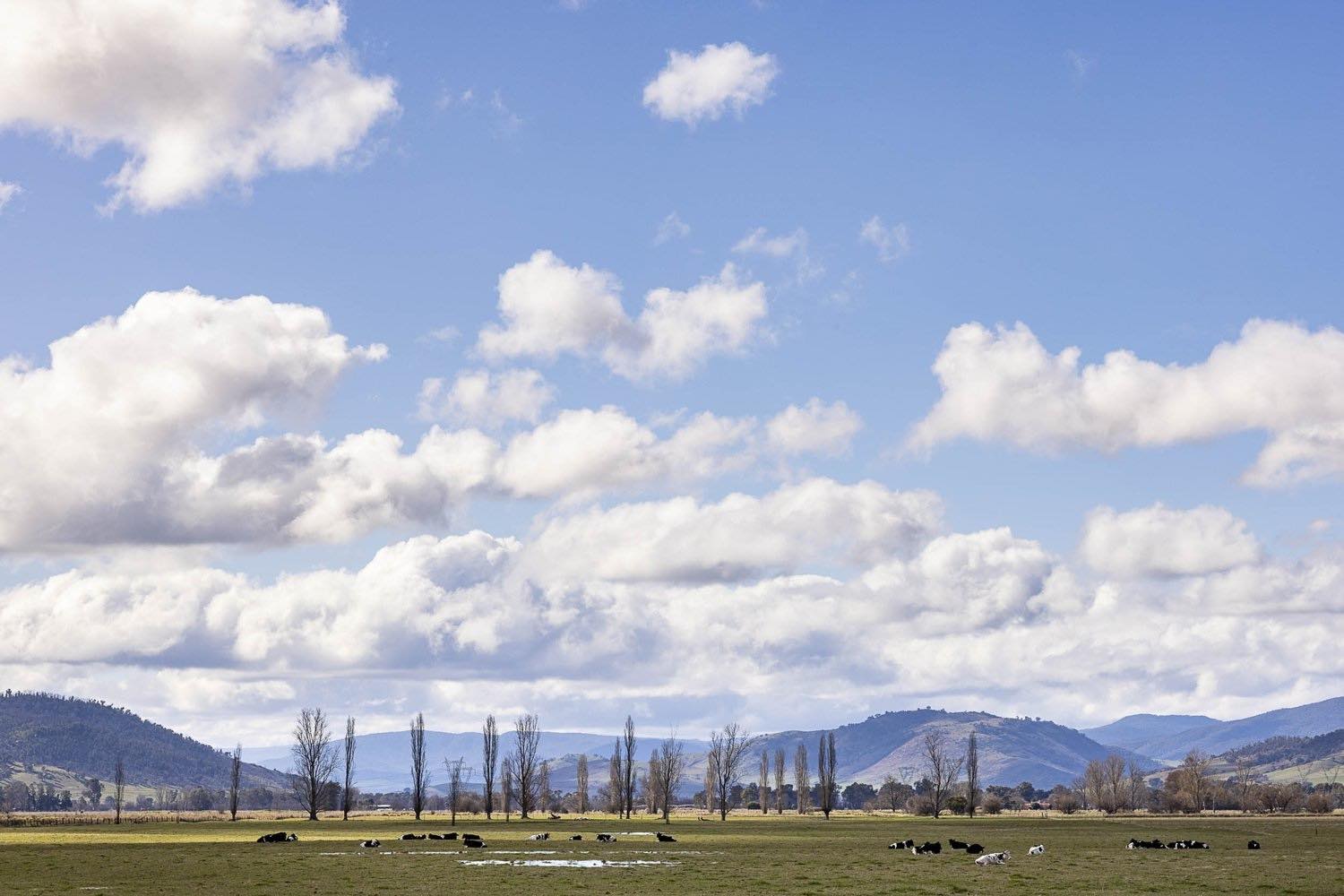 “Resilient” renewable microgrid to power bushfire-threatened town for up to five days