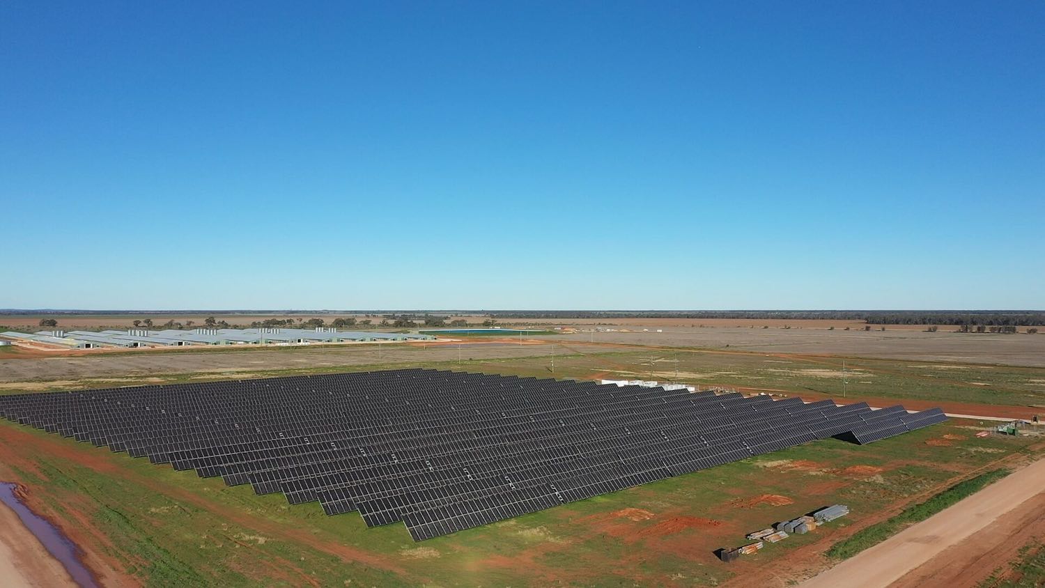 Clucking good deal: Australia’s largest off-grid chicken farm powered by solar and batteries