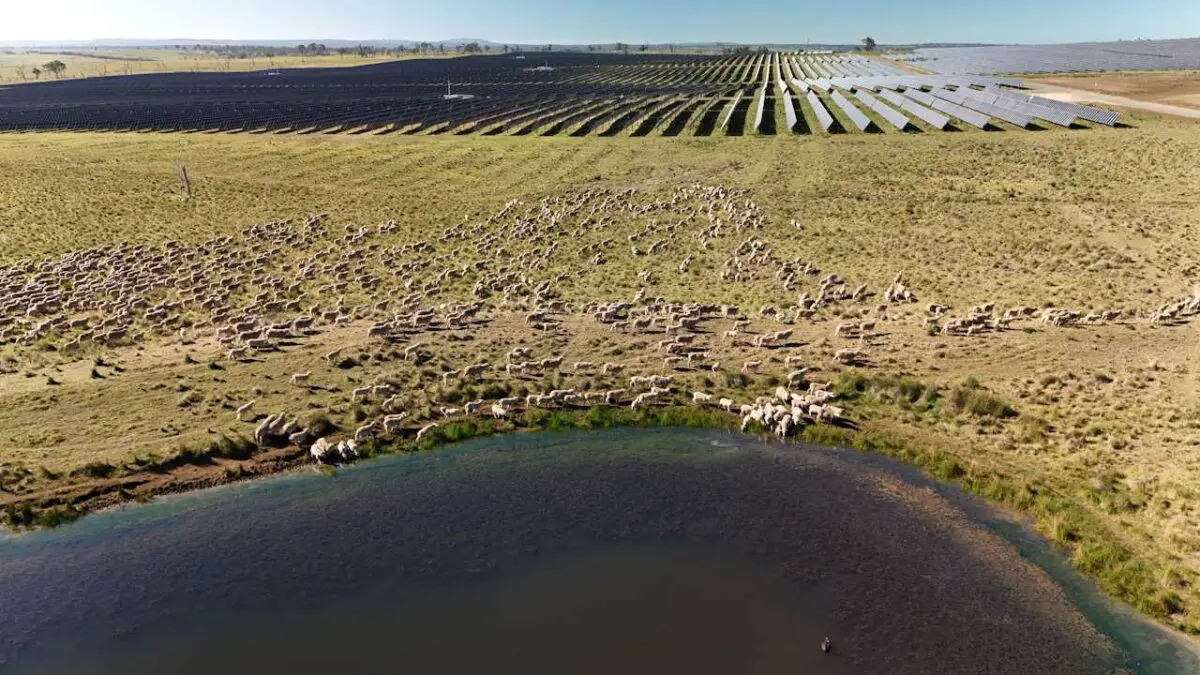 New renewables developer proposes solar farm and big battery for Tamworth hinterland