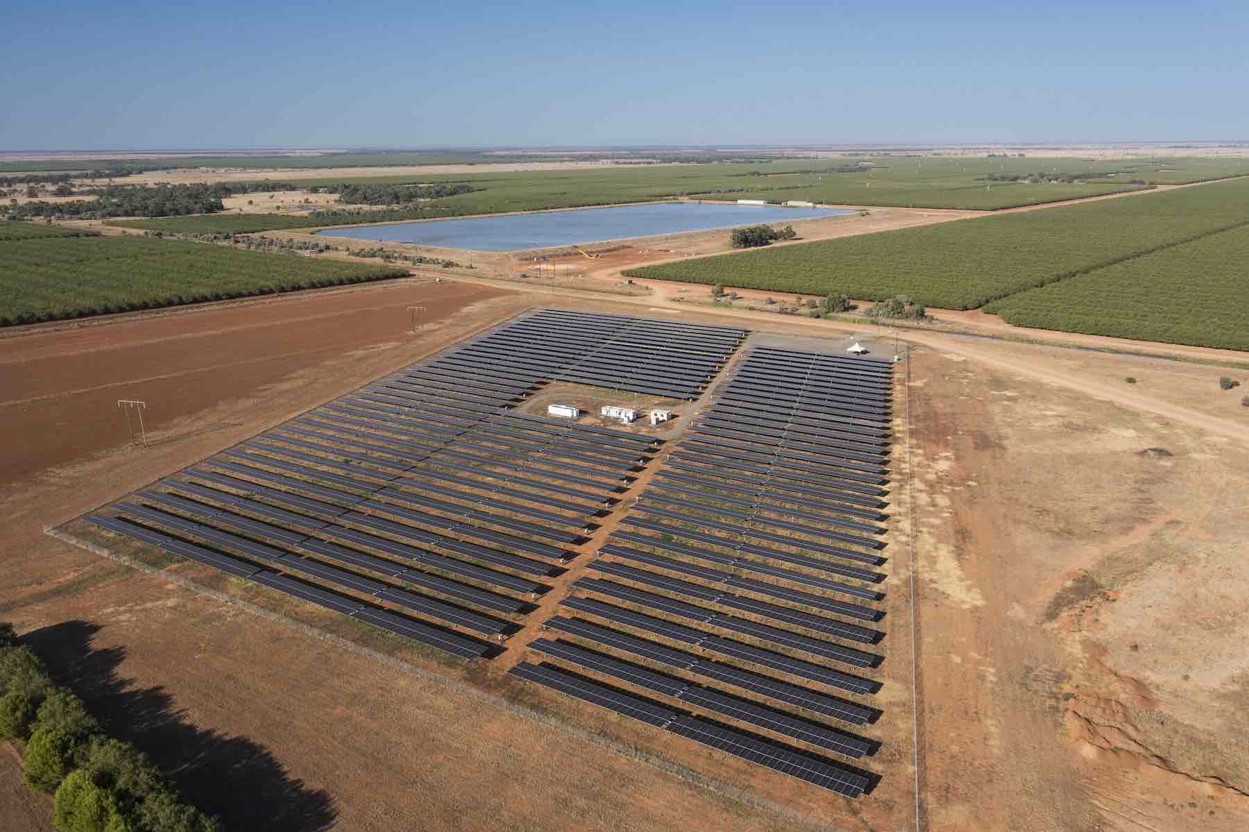 Almond farm adds solar and battery to cut costs, slash emissions and join virtual power plant