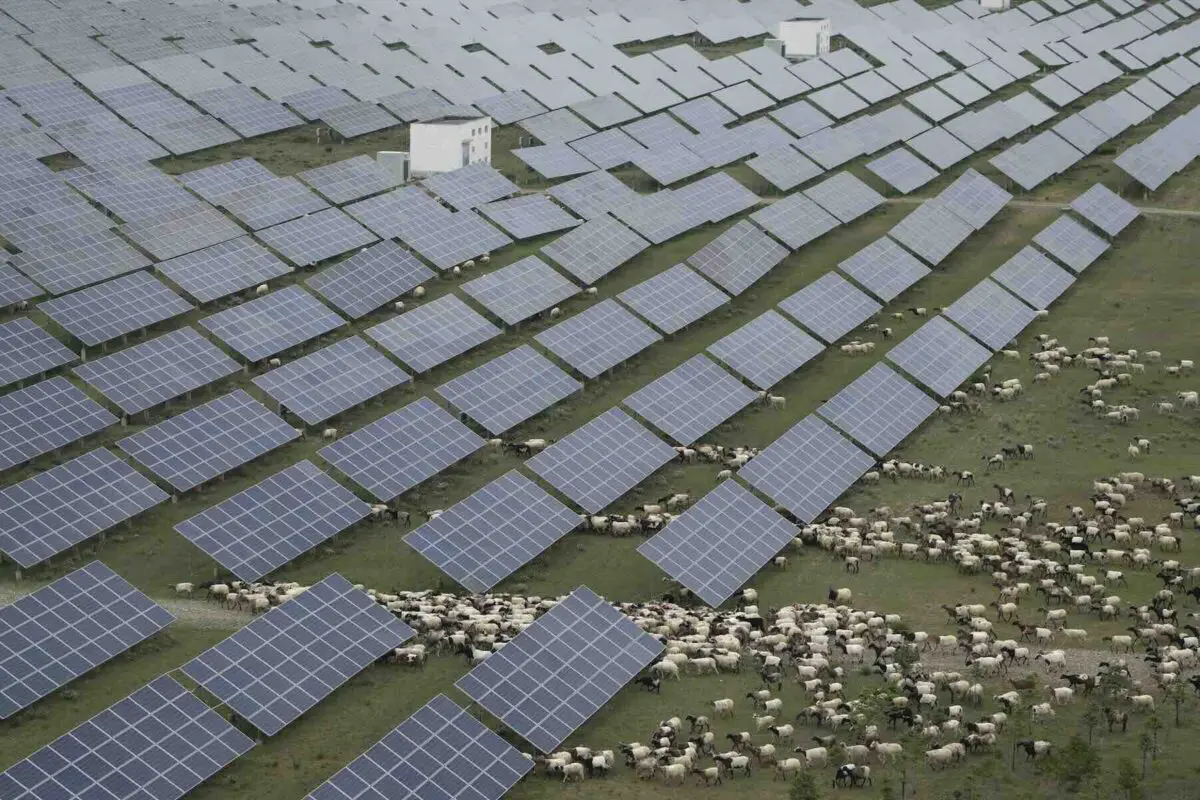 China races to build world’s largest solar farm, complete with “photovoltaic sheep”