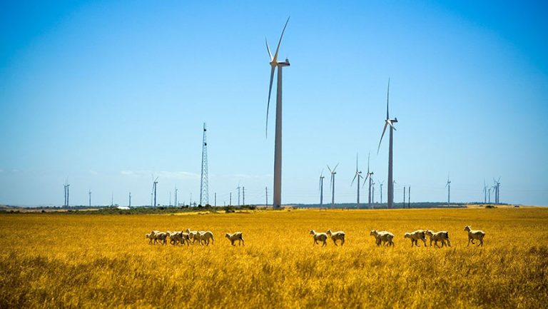 Bowen seeks 1.6 GW wind and solar, 2.4 GWh of storage in super-sized CIS tenders for largest isolated grid