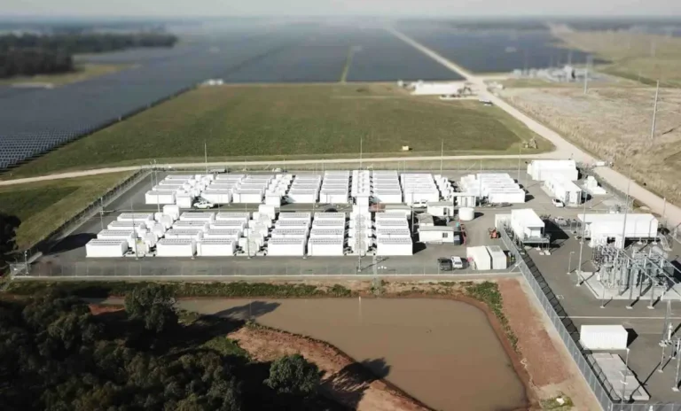 Solar battery hybrids lead the charge as Chris Bowen names 20 winners of 6.5 gigawatt CIS tender