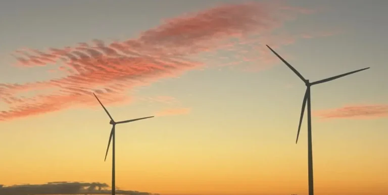 Wind and solar smash grid market share records, even after heavy curtailment, coal at new low
