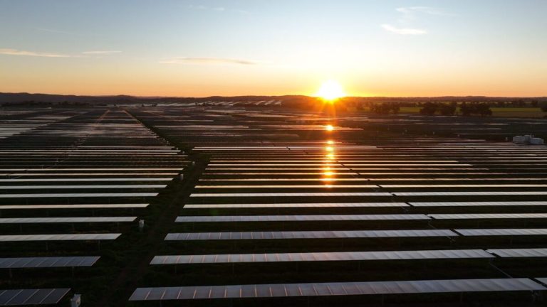 Grass fire at one of Australia’s biggest solar farms forces facility offline for a day, no word yet on cause