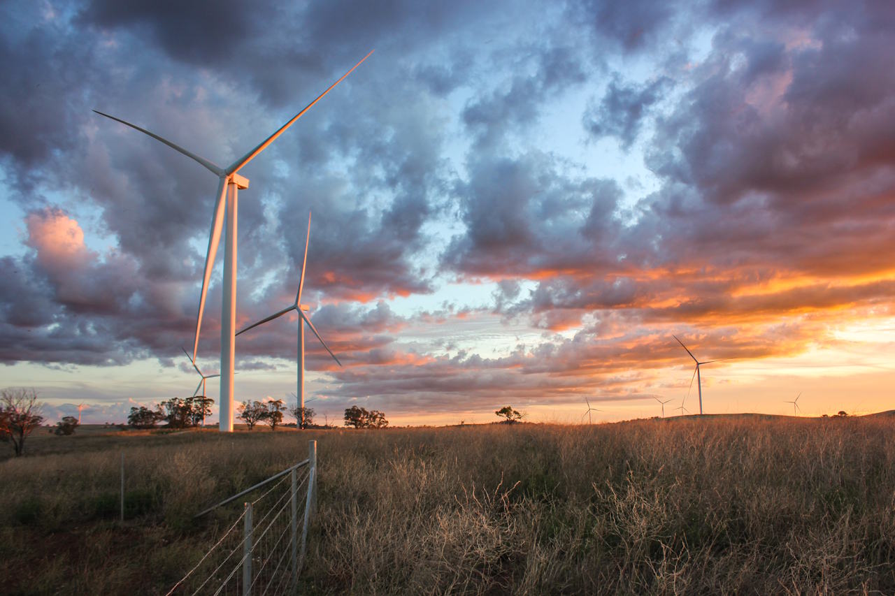 Cost of wind and batteries fall, coal and gas rise as CSIRO finds new way to show renewables are cheapest