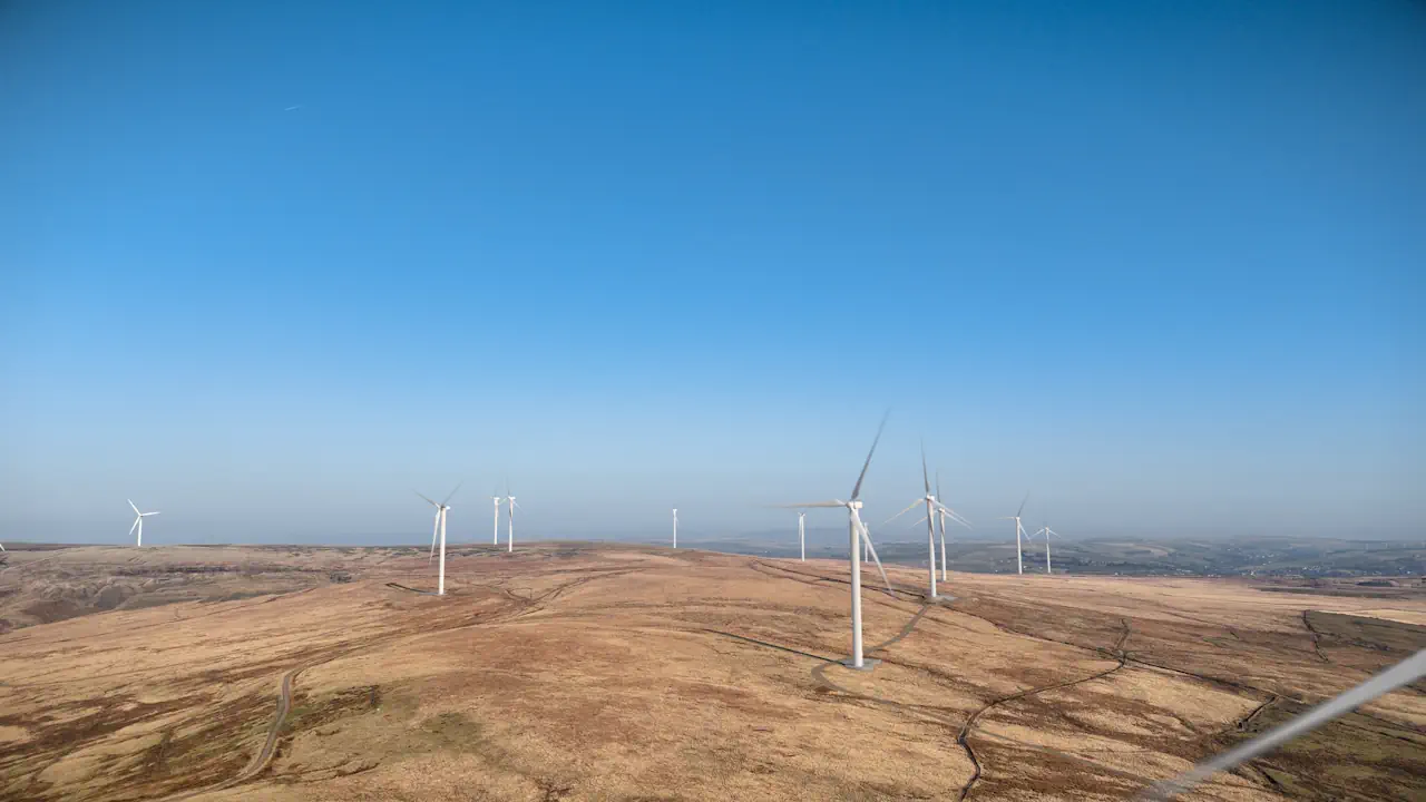 Renewables auction delivers record number of solar projects, biggest onshore wind farm