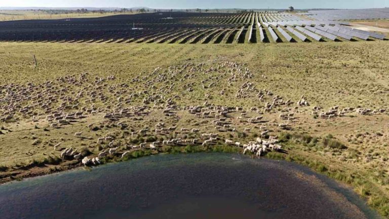 Big solar and batteries lead march to the grid, but new plans for wind are piling up