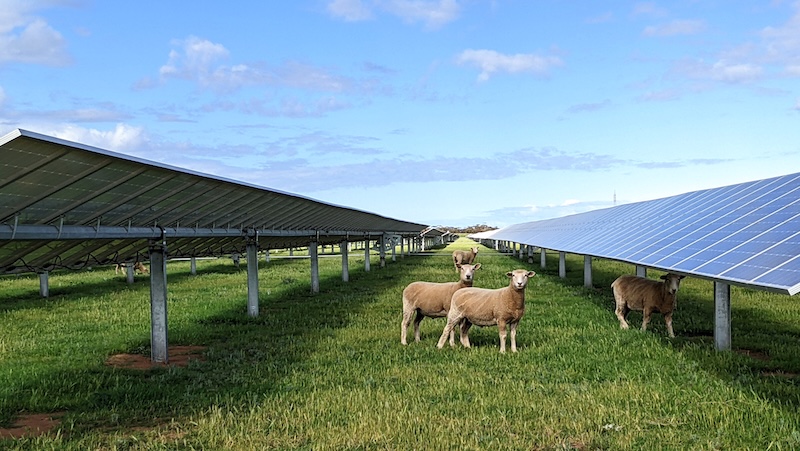 Solar and battery project sent to state planning authority by far away objectors gets all-clear