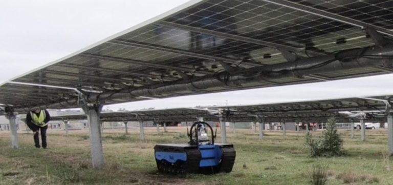 How a robot named Bear is making solar farm maintenance safer and more efficient
