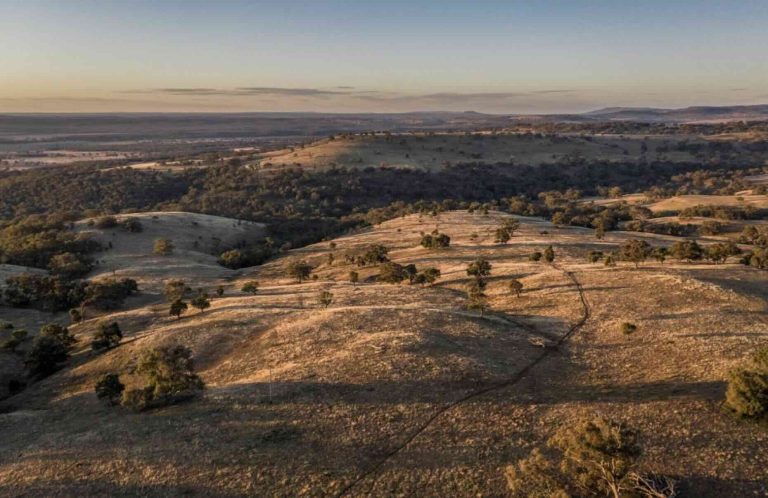 “A scary place to be:” How far is “too far” when it comes to public input on renewables planning?