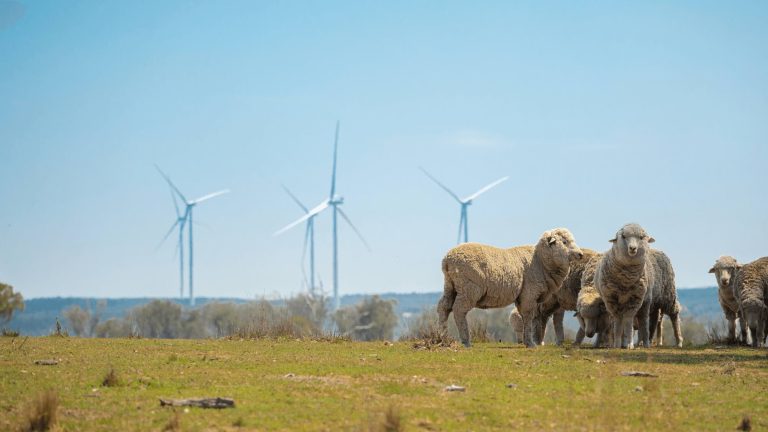 Solar, wind meet 99 pct of new global demand as batteries help deliver “round-the-clock resource”