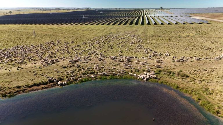 Australia’s biggest solar farm enjoys less curtailment, but lower prices, as big battery starts commissioning