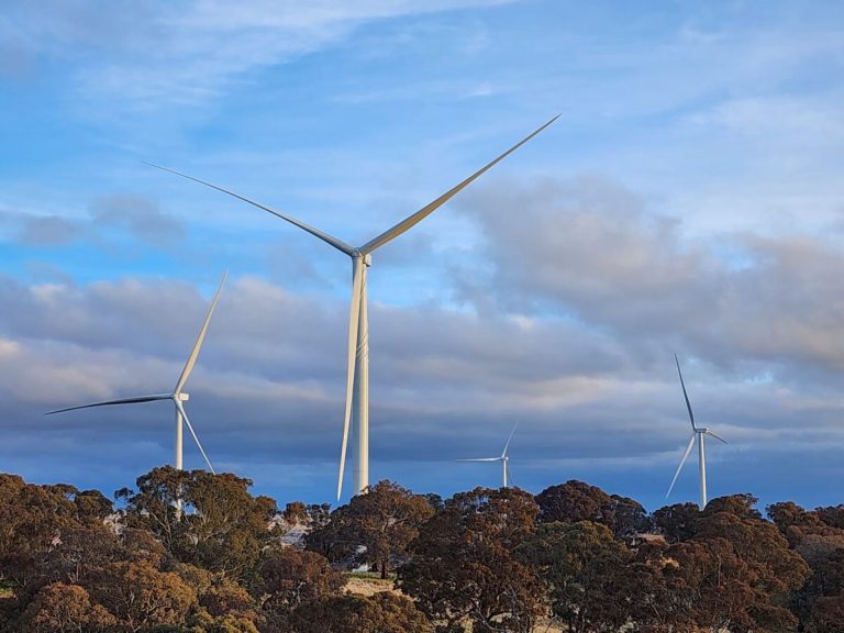 The spot mirage: Low wholesale prices show the future, but are a poor signal for new wind and solar