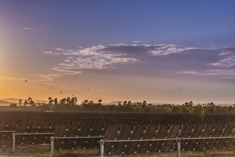Australia’s biggest solar project to be built in chunks to manage increase in negative prices