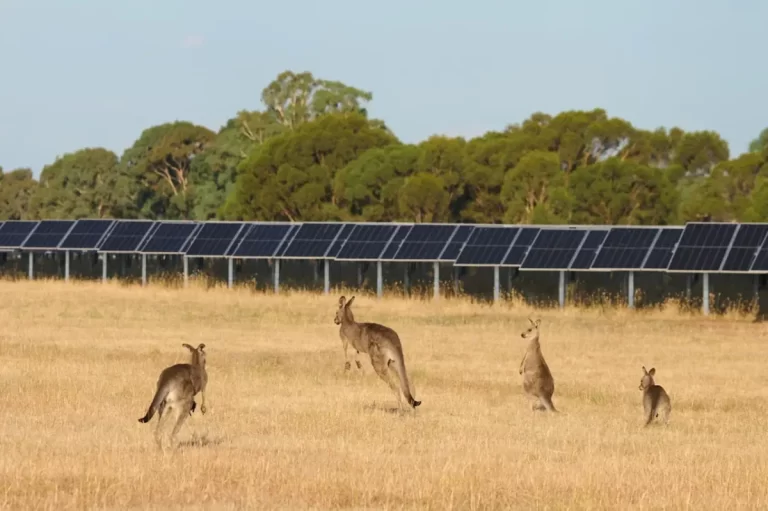 Solar projects to be hit by big increase in costs due to new Australian anti-dumping decision