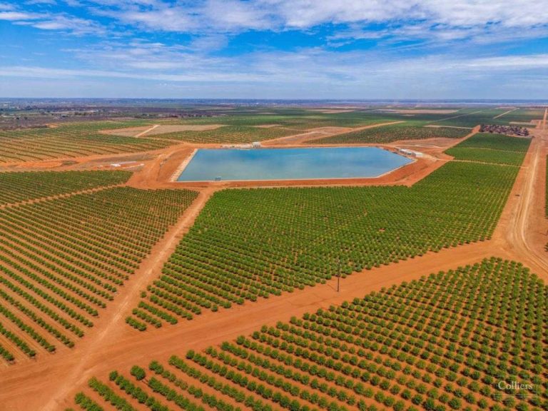 AGL to build one of Australia’s biggest non-mining microgrids, to power almond farm with 85 pct renewables