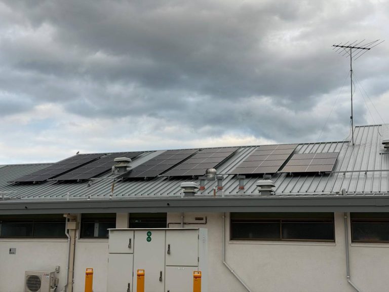 Footy for Climate: Ex AFL stars help football and netball club with new solar and battery system