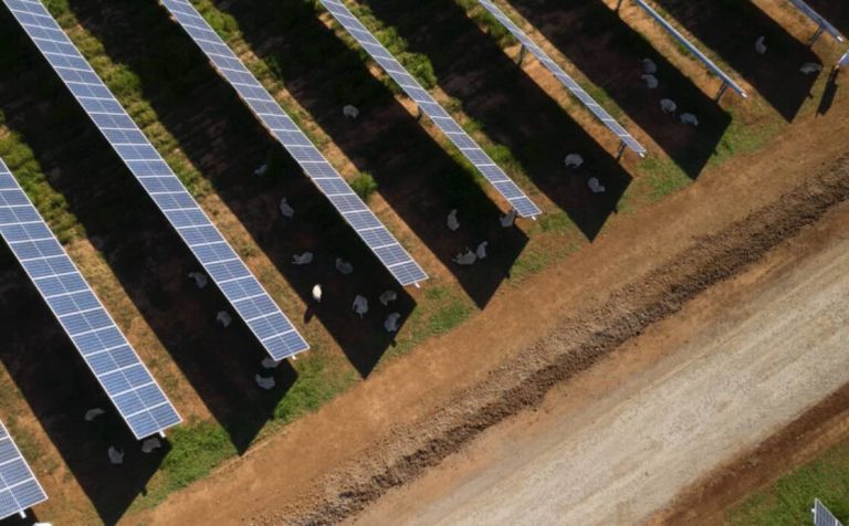 Construction ready, CIS-winning solar and battery hybrid project sold to Swedish developer