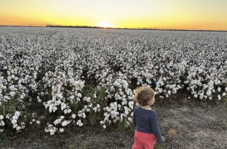 “Prices have doubled”: Farmers turn to wind and solar to make fertiliser, and change dialogue about renewables