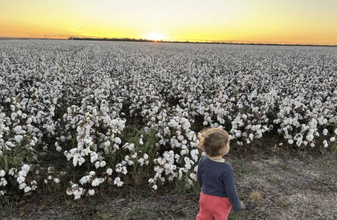 “Prices have doubled”: Farmers turn to wind and solar to make fertiliser, and change dialogue about renewables