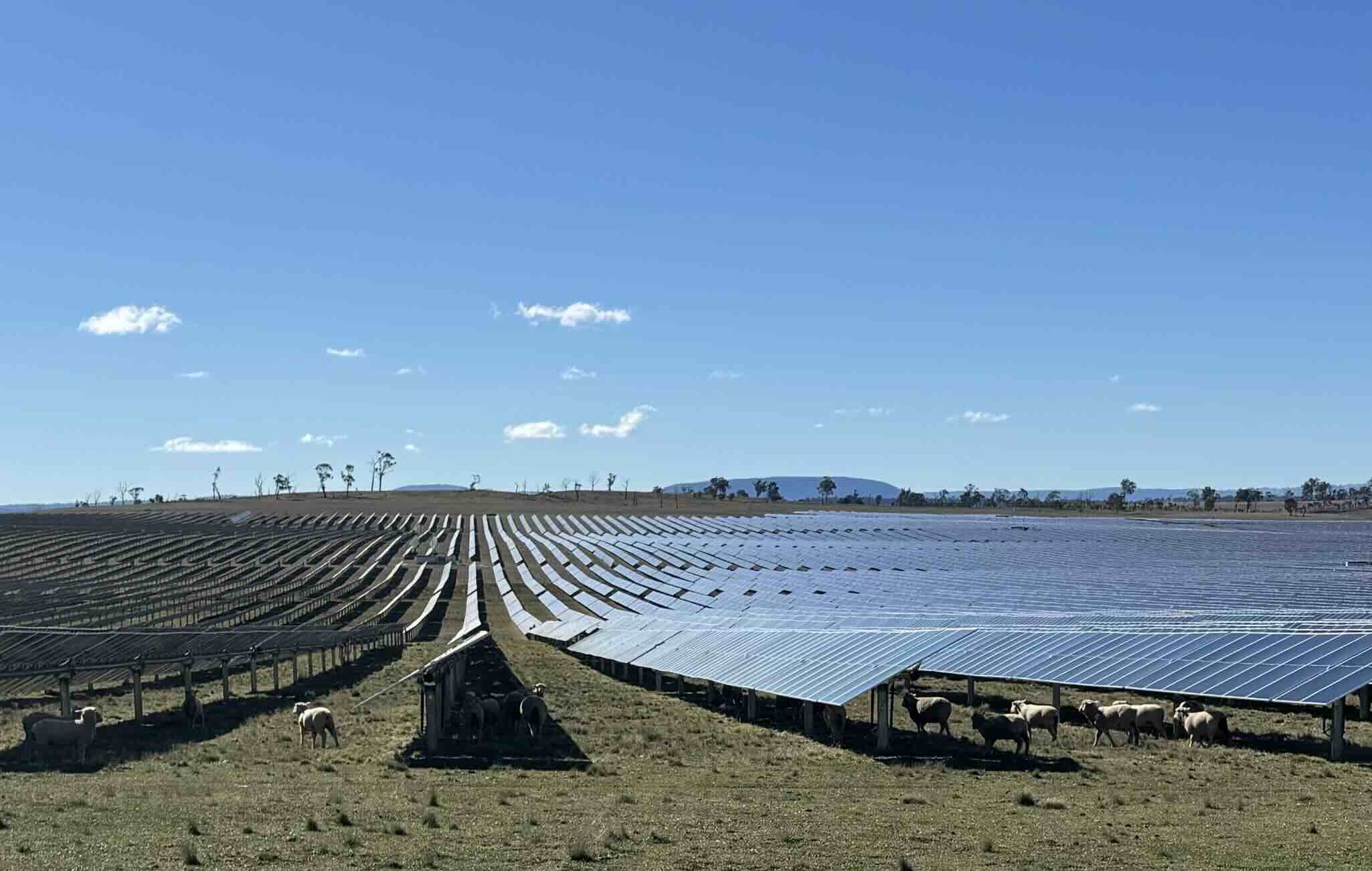 Grid battery next to Australia’s biggest solar farm nears completion, as PV curtailment eases