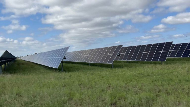 Batteries help cut solar curtailment in half, as PV output hits monthly record