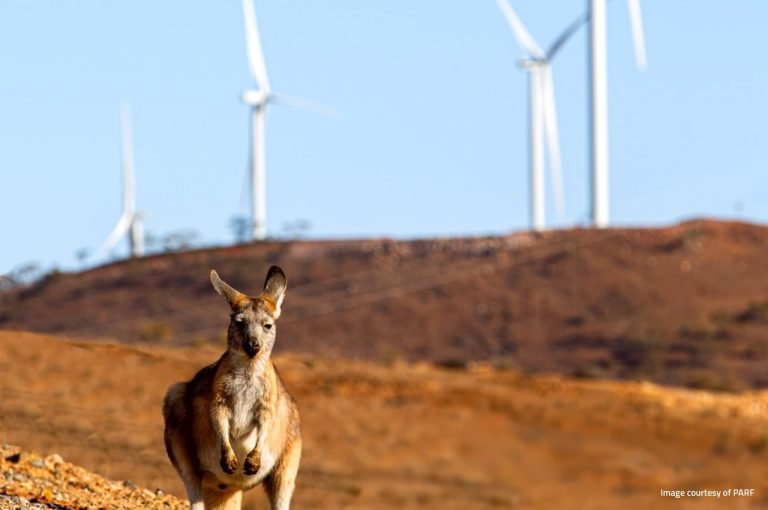 Renewables hit more than 80 pct of grid demand for first time – despite heavy throttling of wind and solar