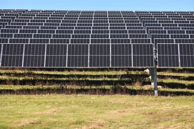 Renewables power 80 per cent of NEM for the first time