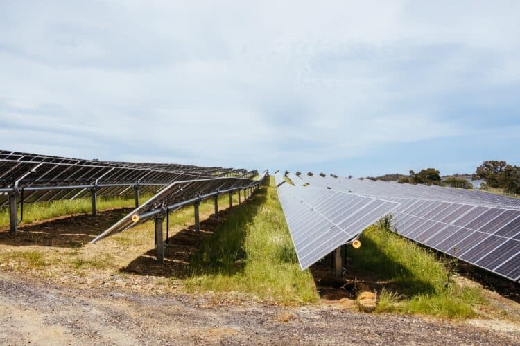 Victoria’s largest solar farm to power Microsoft data centres