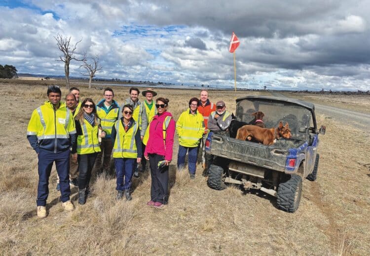 First-of-its-kind research balances the needs of solar farms and grazing