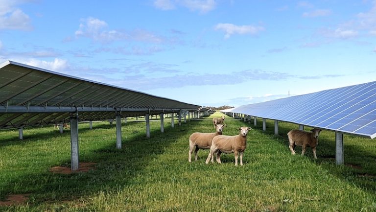 Renewable energy czar proposes national standard to quell farmer insurance fears