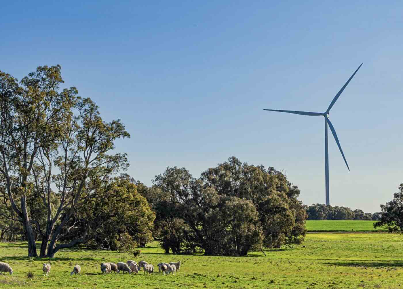 Simplified version of ESEM to be used to propel state beyond coal and to 75 per cent renewables