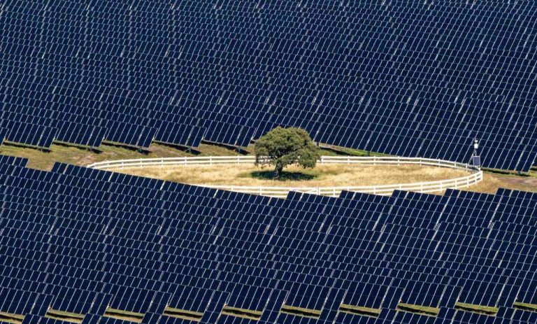 Oil giant’s renewables arm co-launches equal biggest solar farm in Aotearoa NZ