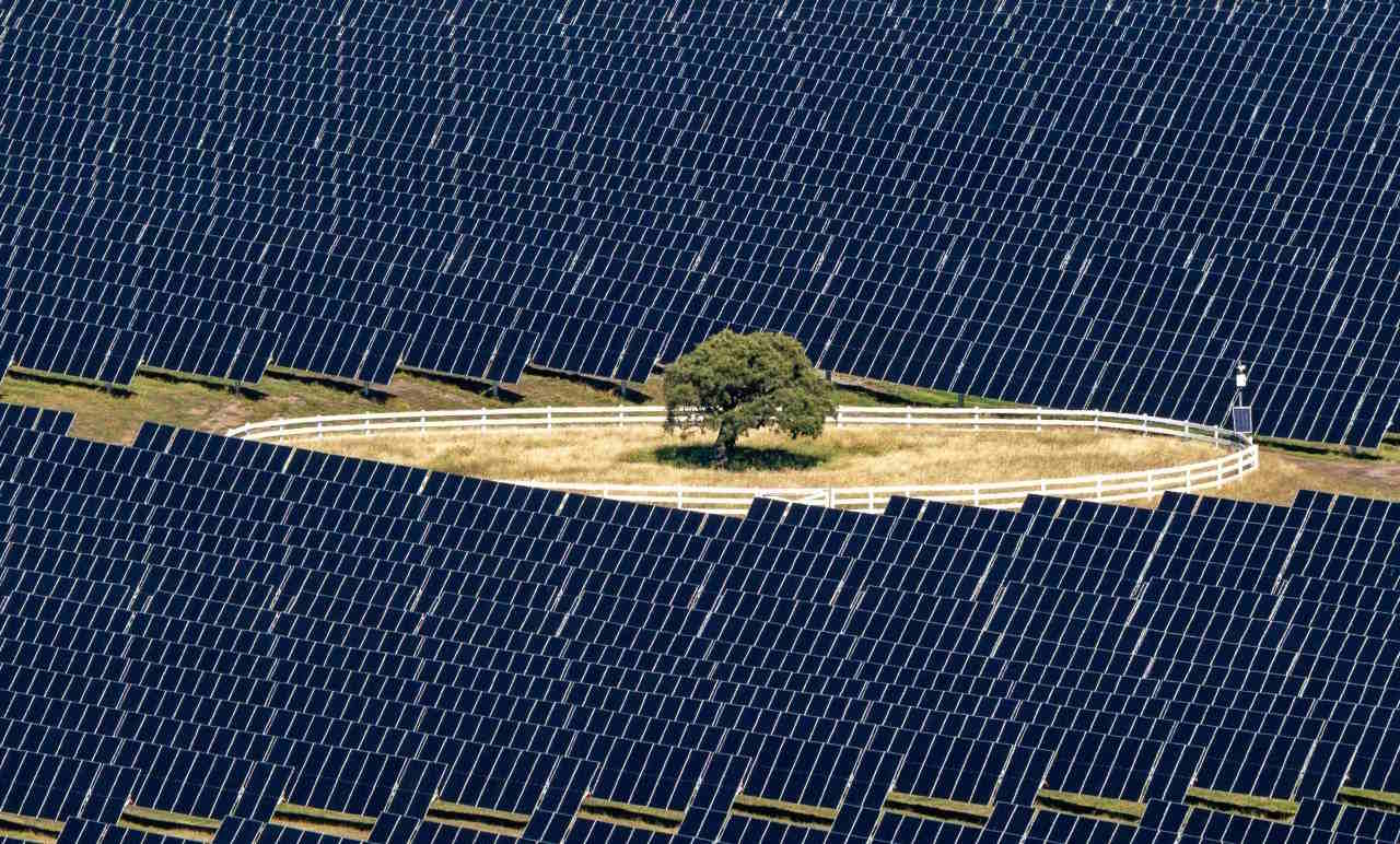 Oil giant’s renewables arm co-launches equal biggest solar farm in Aotearoa NZ
