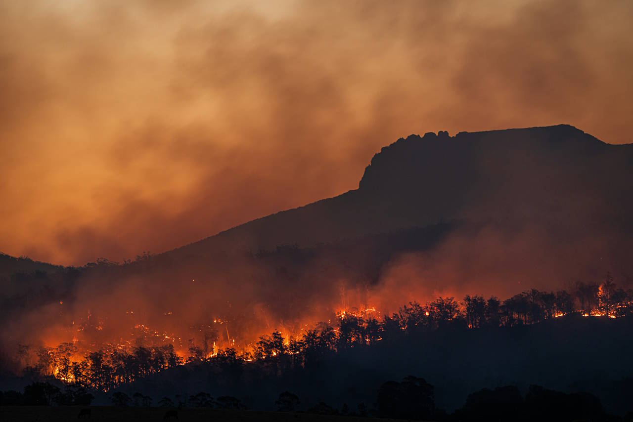 Bushfire smoke chokes output from solar farms, even more than 100 km away, researchers find