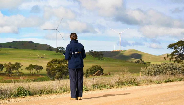 South Australia won’t reach its 100 pct net renewables target on schedule, but it won’t be the fault of households