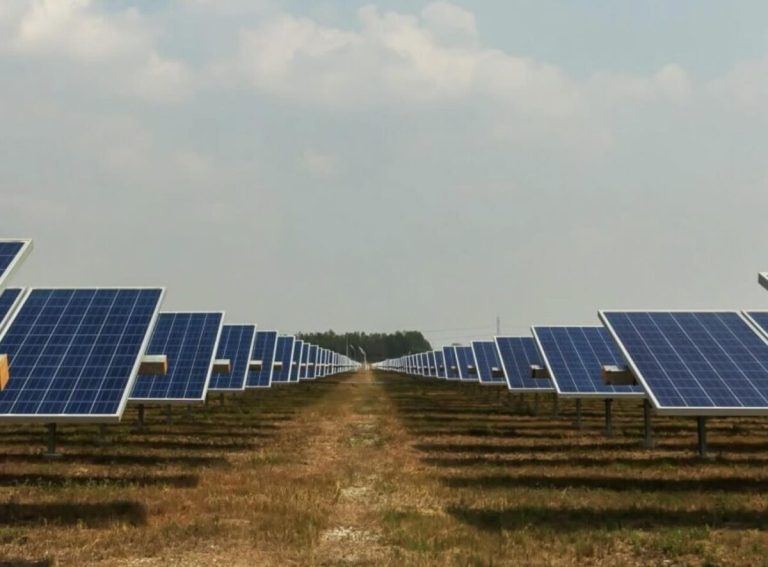 Investment giant seeks to add five-hour battery alongside panels and sheep at existing solar farm