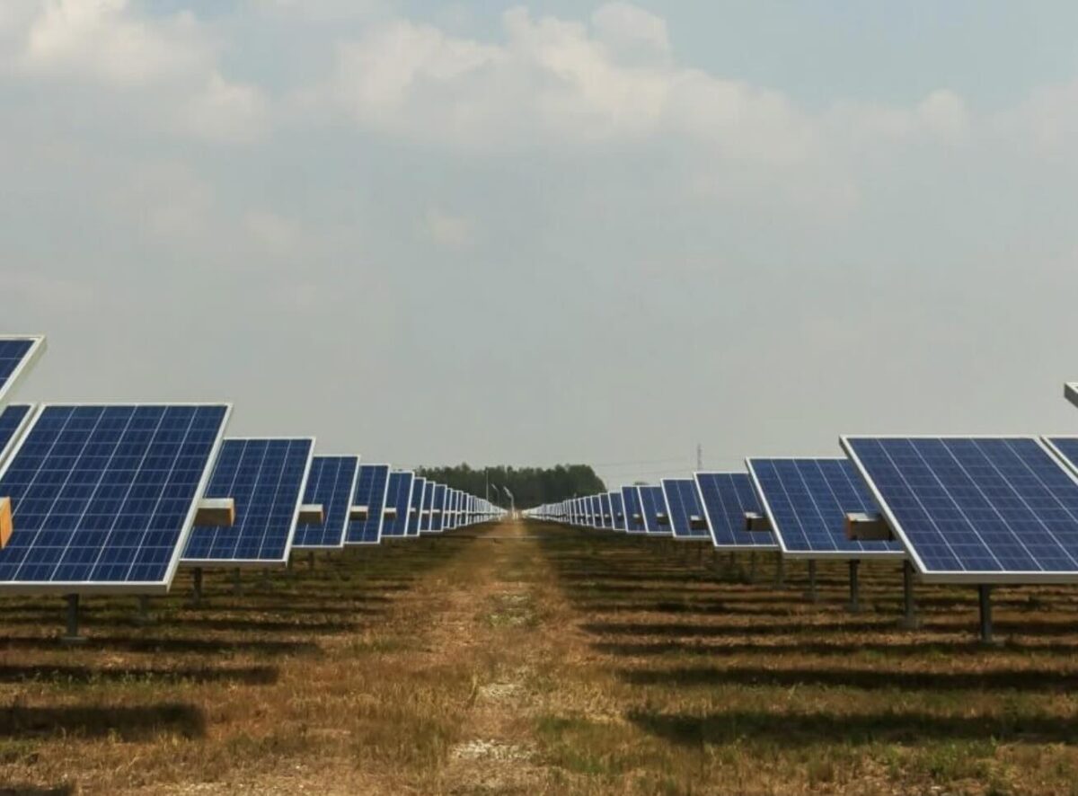 Investment giant seeks to add five-hour battery alongside panels and sheep at existing solar farm